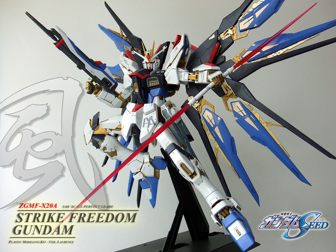 ZGMF-X20A Strike Freedom Gundam Seed GUNPLA PG Perfect Grade 1/60 BANDAI 