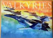 Valkyries Third Sortie: Tenjin Hidetaka Artwork Collection by Koubunsha
