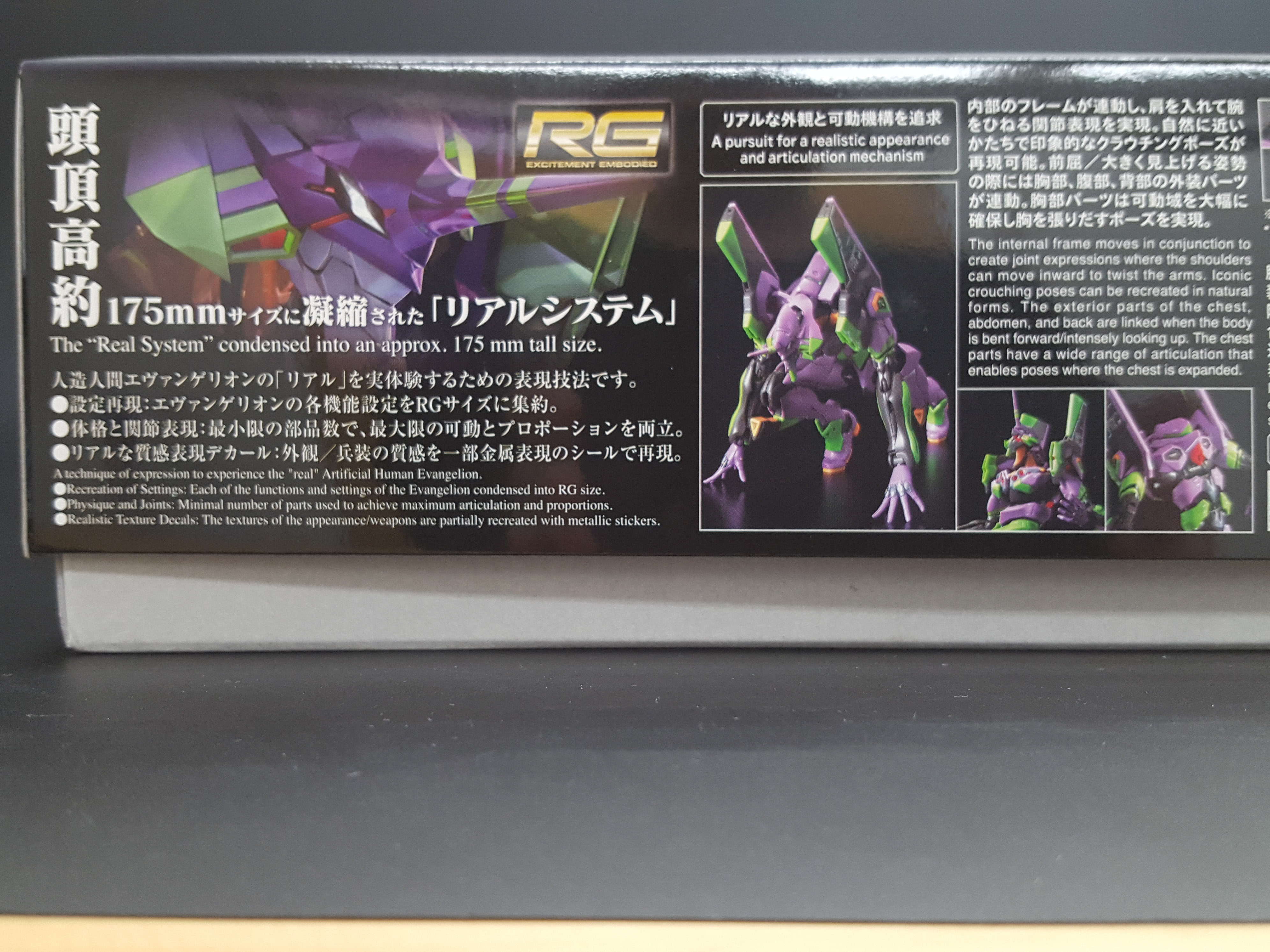 RG All-Purpose Humanoid Decisive Battle Weapon Artificial Human Evangelion Unit 01 DX Transporter Set