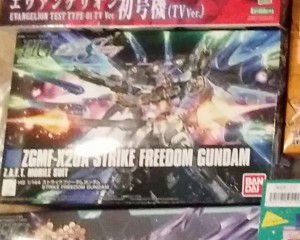 strike freedom (1)