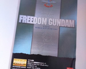 Freedom Manual